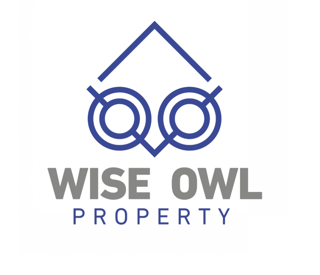 wise owl logo